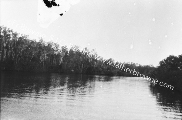 MAROOCHY RIVER : RIVER VIEW